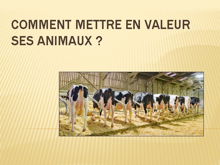 COMMENT METTRE EN VALEUR SES ANIMAUX ? 