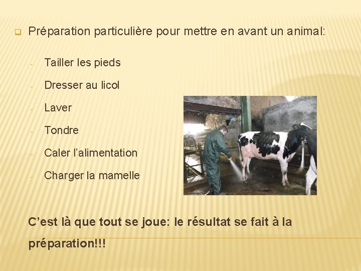 q Préparation particulière pour mettre en avant un animal: - Tailler les pieds -