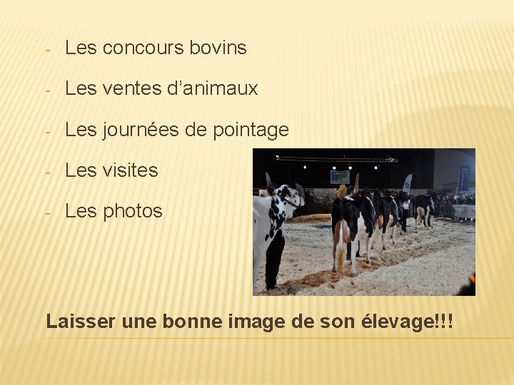 - Les concours bovins - Les ventes d’animaux - Les journées de pointage -