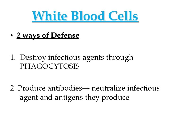 White Blood Cells • 2 ways of Defense 1. Destroy infectious agents through PHAGOCYTOSIS