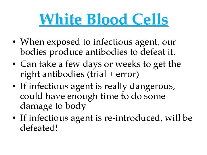 White Blood Cells • When exposed to infectious agent, our bodies produce antibodies to