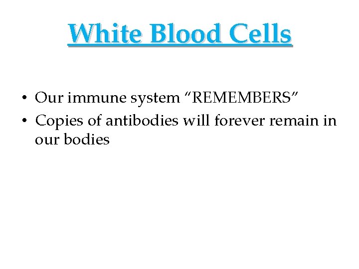 White Blood Cells • Our immune system “REMEMBERS” • Copies of antibodies will forever