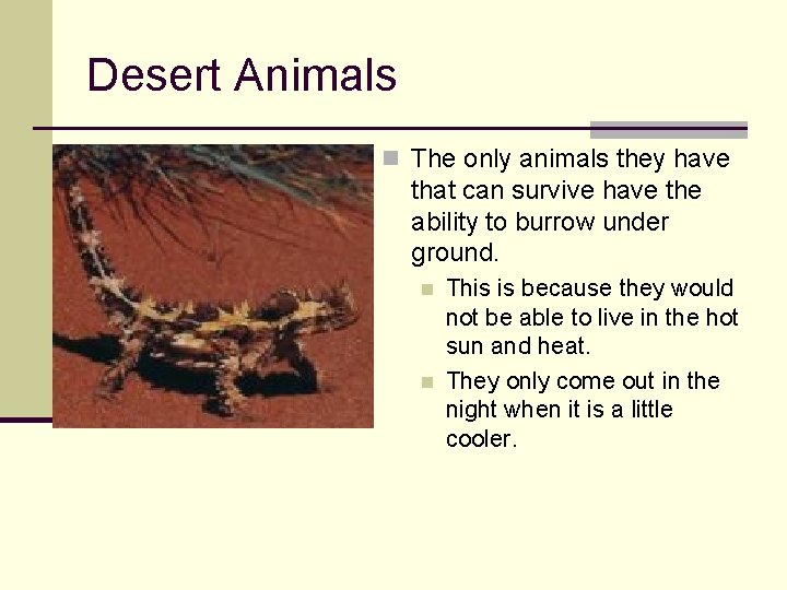 Desert Animals n The only animals they have that can survive have the ability