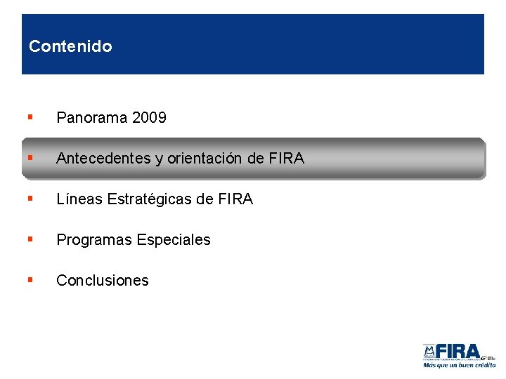 Contenido § Panorama 2009 § Antecedentes y orientación de FIRA § Líneas Estratégicas de