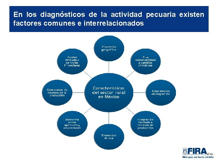 En los diagnósticos de la actividad pecuaria existen factores comunes e interrelacionados 