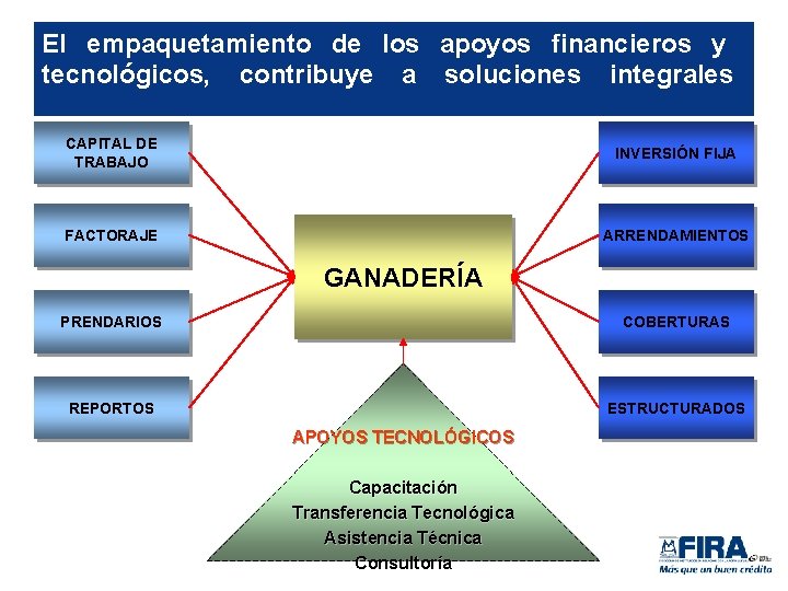 El empaquetamiento de los apoyos financieros y tecnológicos, contribuye a soluciones integrales CAPITAL DE