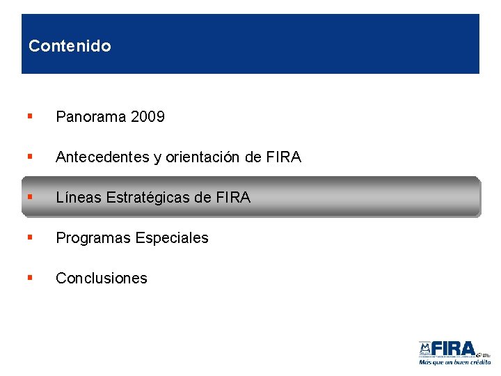 Contenido § Panorama 2009 § Antecedentes y orientación de FIRA § Líneas Estratégicas de