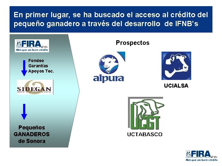 En primer lugar, se ha buscado el acceso al crédito del pequeño ganadero a