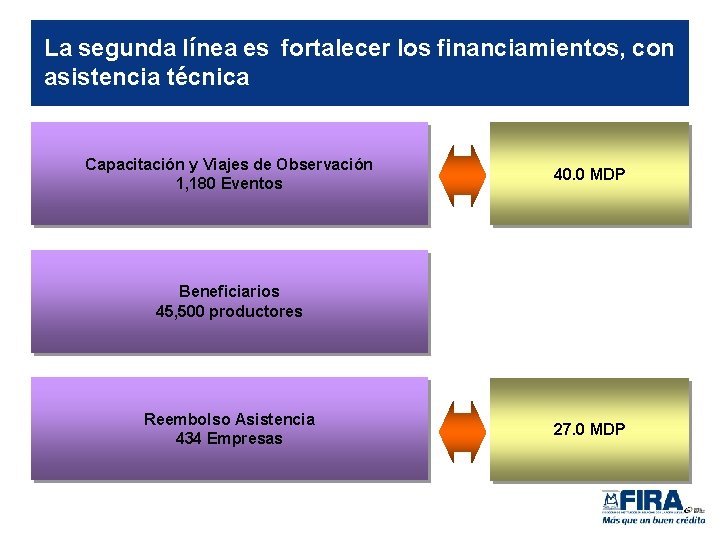 La segunda línea es fortalecer los financiamientos, con asistencia técnica Capacitación y Viajes de