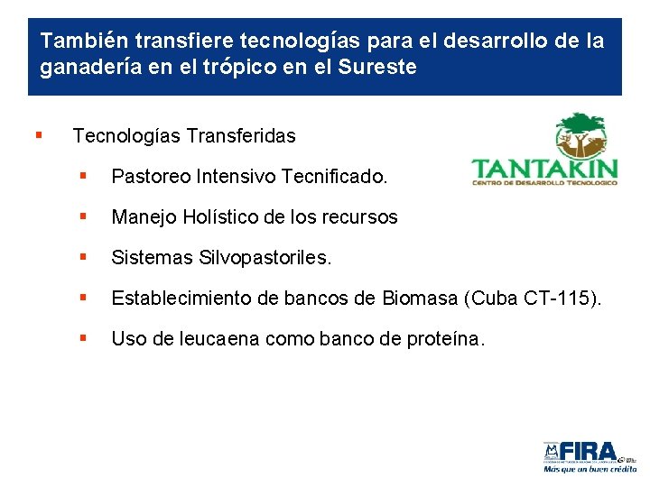 También transfiere tecnologías para el desarrollo de la ganadería en el trópico en el