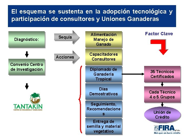 El esquema se sustenta en la adopción tecnológica y participación de consultores y Uniones