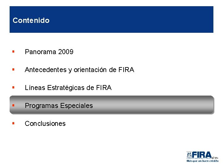 Contenido § Panorama 2009 § Antecedentes y orientación de FIRA § Líneas Estratégicas de