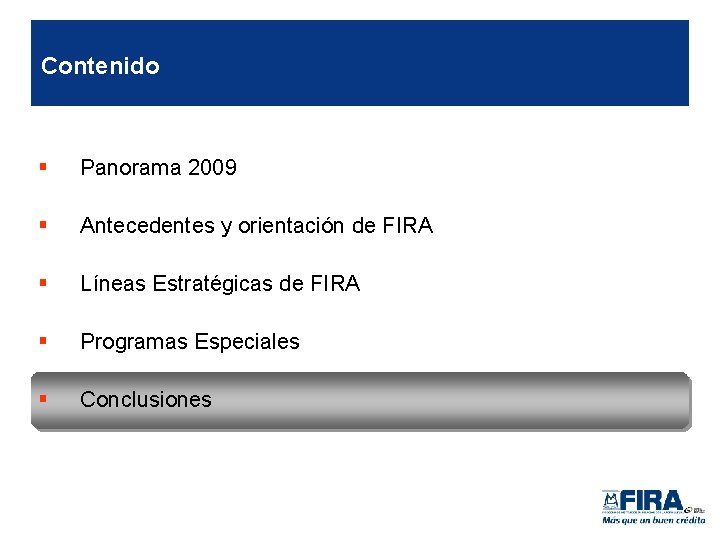 Contenido § Panorama 2009 § Antecedentes y orientación de FIRA § Líneas Estratégicas de