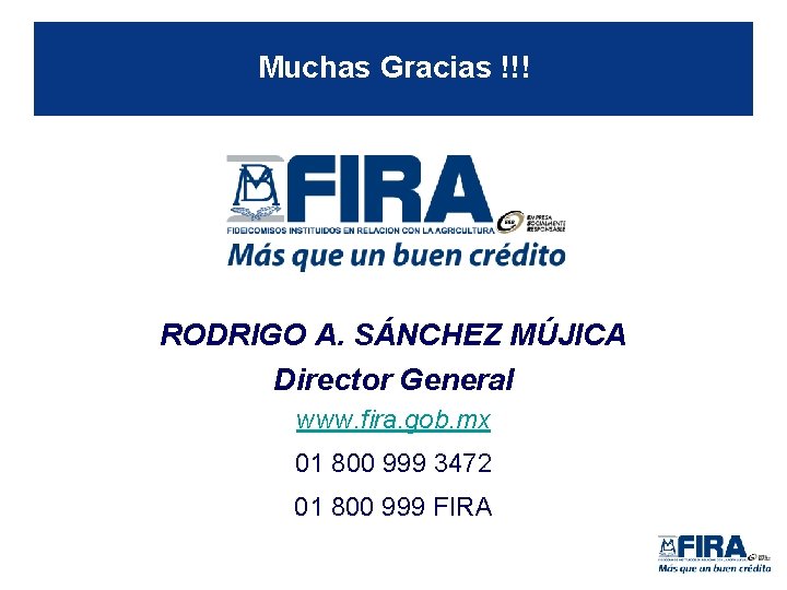 Muchas Gracias !!! RODRIGO A. SÁNCHEZ MÚJICA Director General www. fira. gob. mx 01