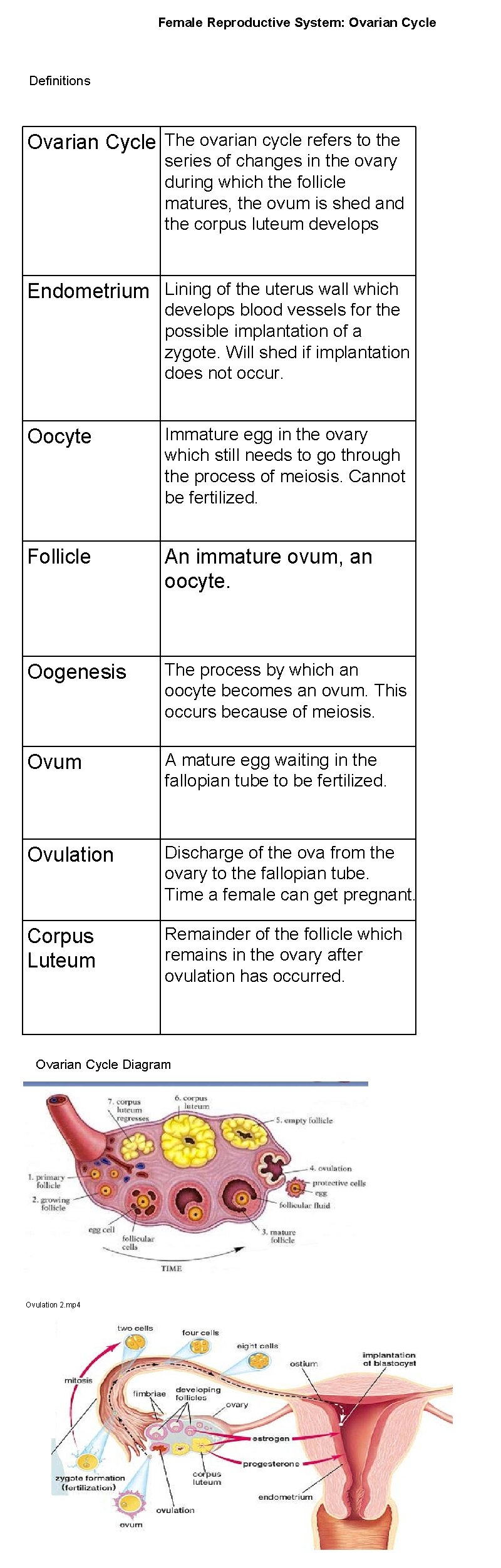 Female Reproductive System: Ovarian Cycle Definitions Ovarian Cycle The ovarian cycle refers to the