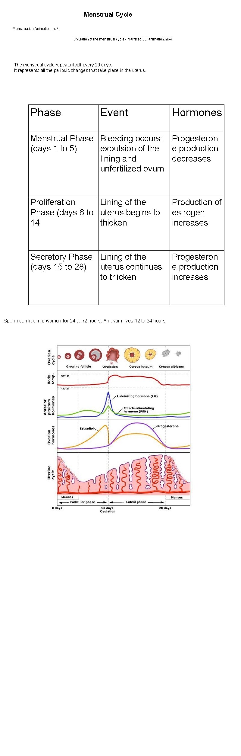 Menstrual Cycle Menstruation Animation. mp 4 Ovulation & the menstrual cycle - Narrated 3