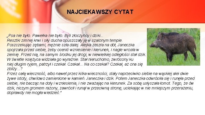 NAJCIEKAWSZY CYTAT „Psa nie było. Pawełka nie było. Byli złoczyńcy i dziki. . .