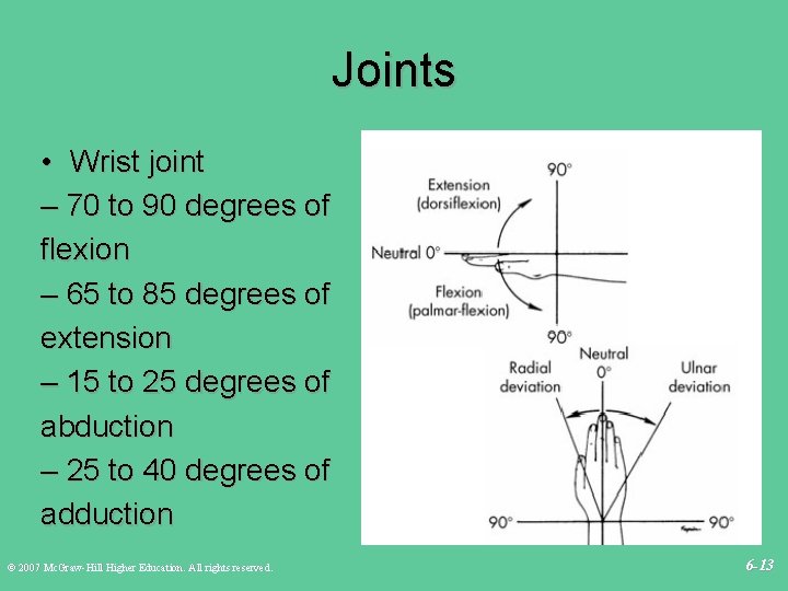 Joints • Wrist joint – 70 to 90 degrees of flexion – 65 to