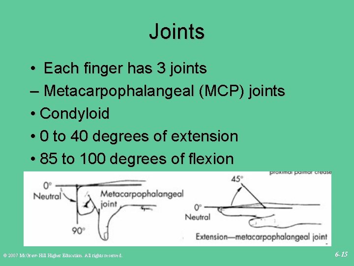 Joints • Each finger has 3 joints – Metacarpophalangeal (MCP) joints • Condyloid •