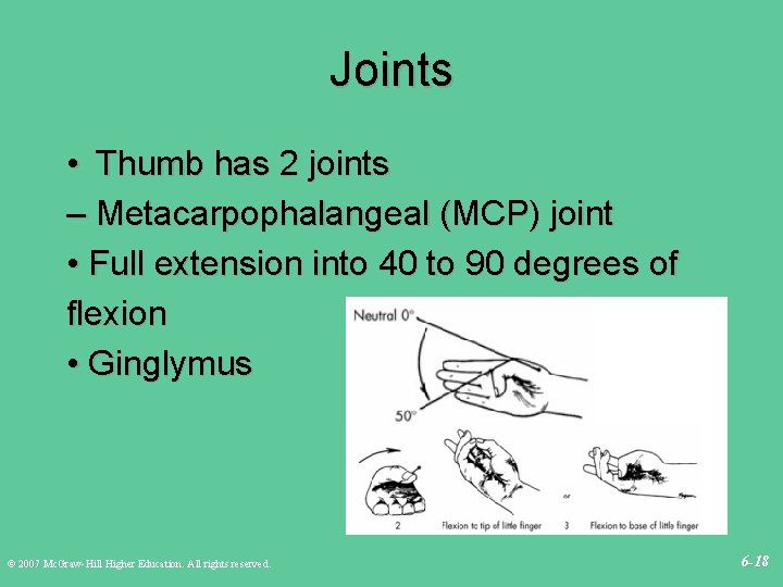 Joints • Thumb has 2 joints – Metacarpophalangeal (MCP) joint • Full extension into