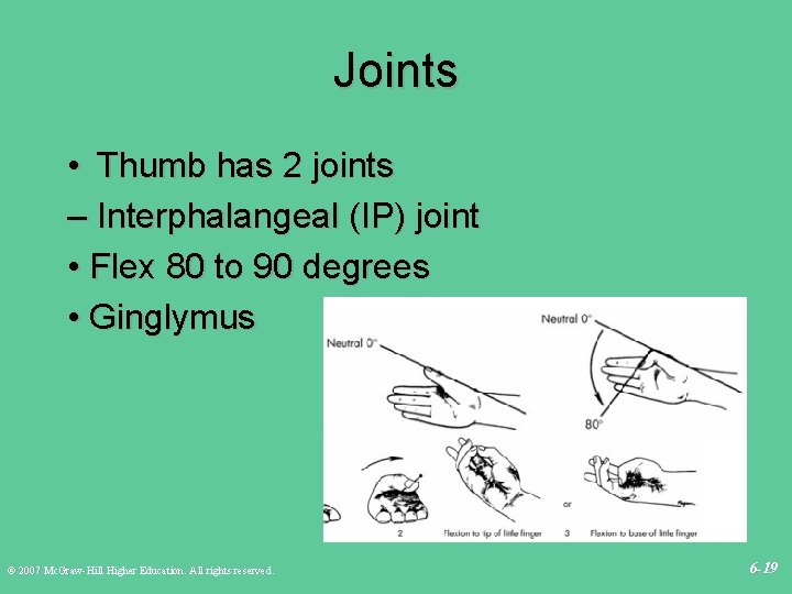 Joints • Thumb has 2 joints – Interphalangeal (IP) joint • Flex 80 to