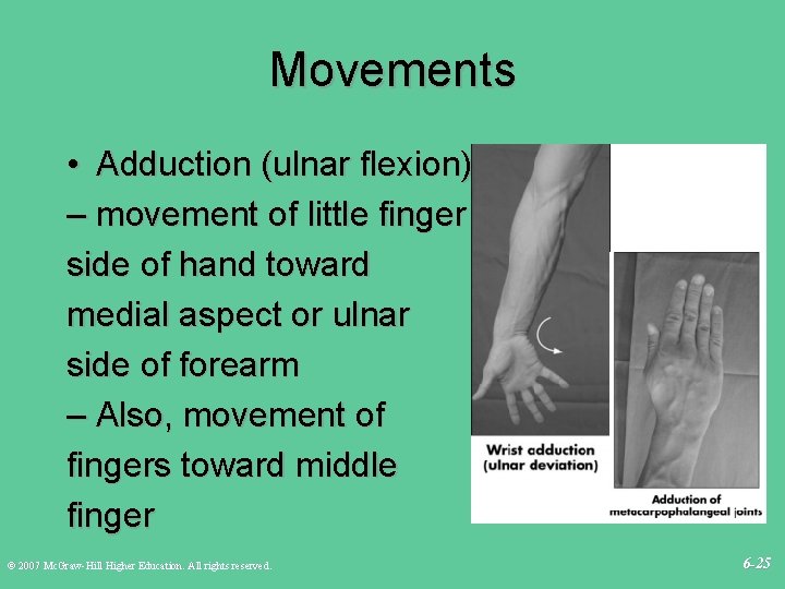 Movements • Adduction (ulnar flexion) – movement of little finger side of hand toward