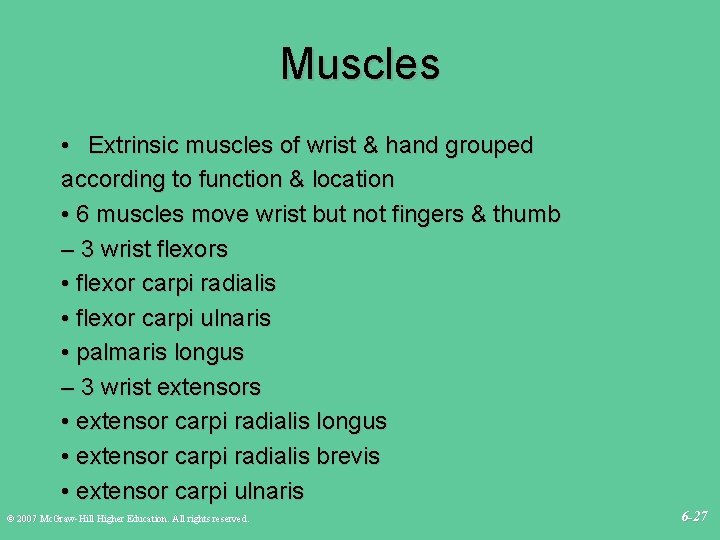 Muscles • Extrinsic muscles of wrist & hand grouped according to function & location