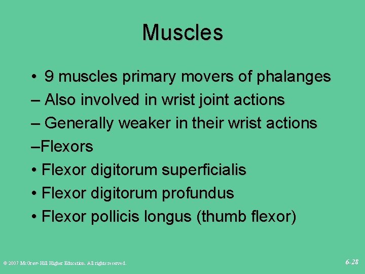 Muscles • 9 muscles primary movers of phalanges – Also involved in wrist joint