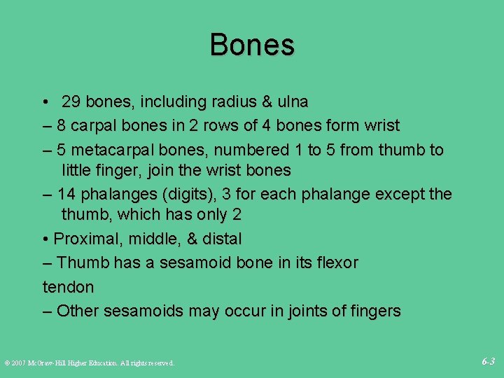 Bones • 29 bones, including radius & ulna – 8 carpal bones in 2