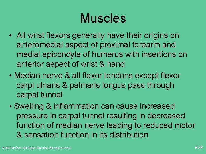 Muscles • All wrist flexors generally have their origins on anteromedial aspect of proximal