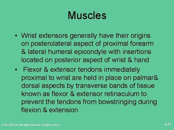 Muscles • Wrist extensors generally have their origins on posterolateral aspect of proximal forearm