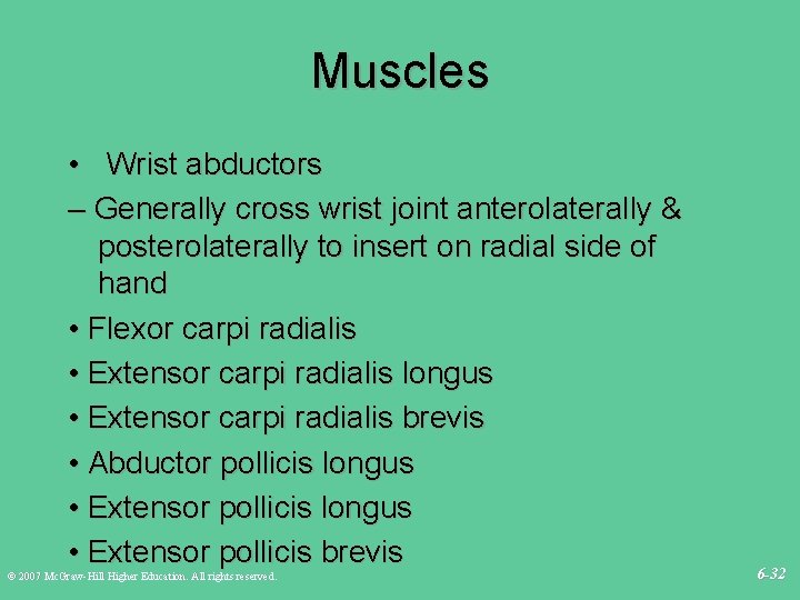 Muscles • Wrist abductors – Generally cross wrist joint anterolaterally & posterolaterally to insert