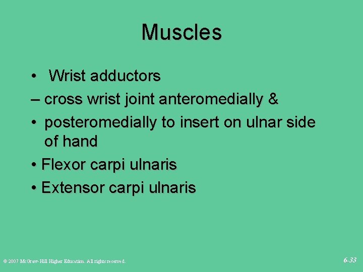 Muscles • Wrist adductors – cross wrist joint anteromedially & • posteromedially to insert