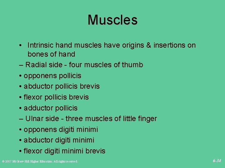 Muscles • Intrinsic hand muscles have origins & insertions on bones of hand –