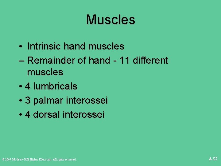 Muscles • Intrinsic hand muscles – Remainder of hand - 11 different muscles •