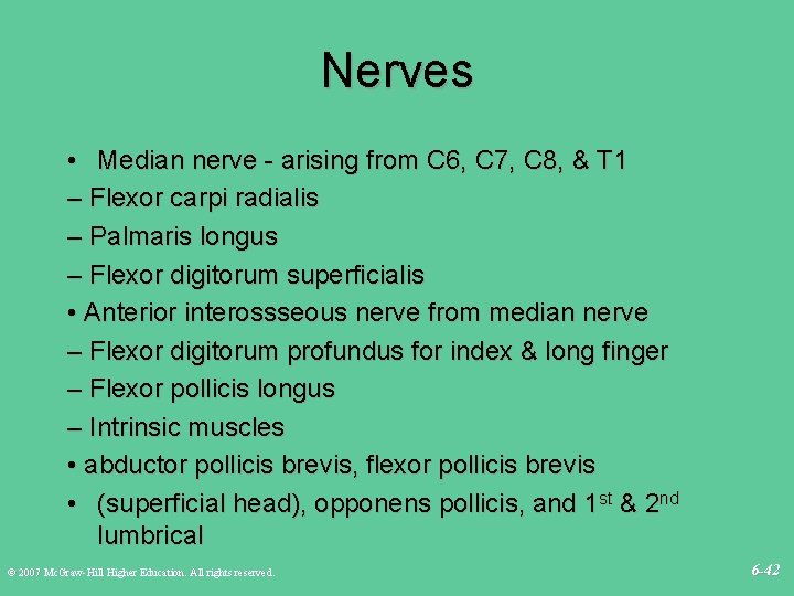 Nerves • Median nerve - arising from C 6, C 7, C 8, &