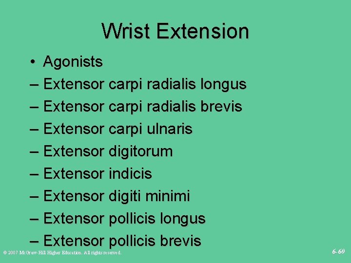 Wrist Extension • Agonists – Extensor carpi radialis longus – Extensor carpi radialis brevis