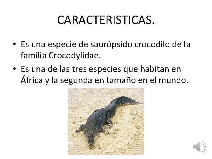 CARACTERISTICAS. • Es una especie de saurópsido crocodilo de la familia Crocodylidae. • Es