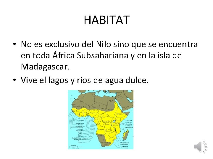 HABITAT • No es exclusivo del Nilo sino que se encuentra en toda África