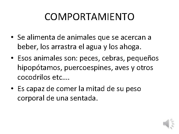 COMPORTAMIENTO • Se alimenta de animales que se acercan a beber, los arrastra el