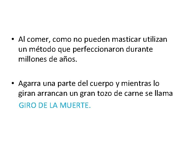  • Al comer, como no pueden masticar utilizan un método que perfeccionaron durante