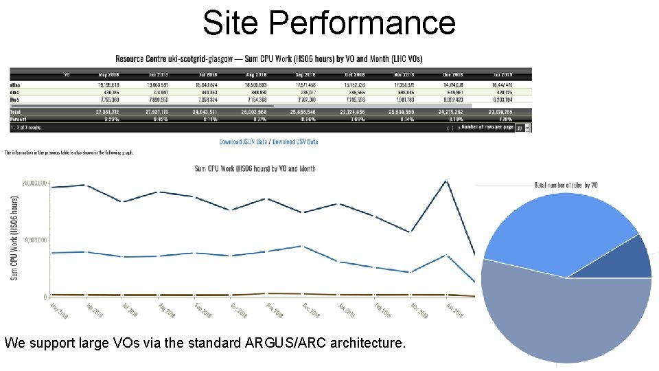 Site Performance We support large VOs via the standard ARGUS/ARC architecture. 