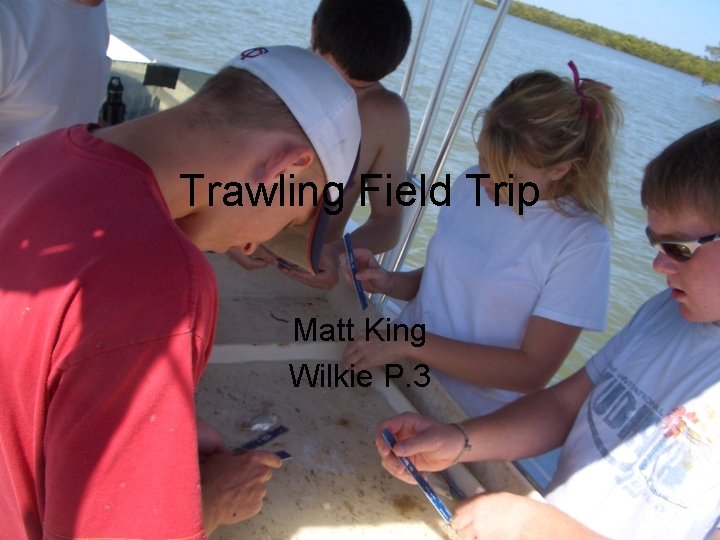 Trawling Field Trip Matt King Wilkie P. 3 