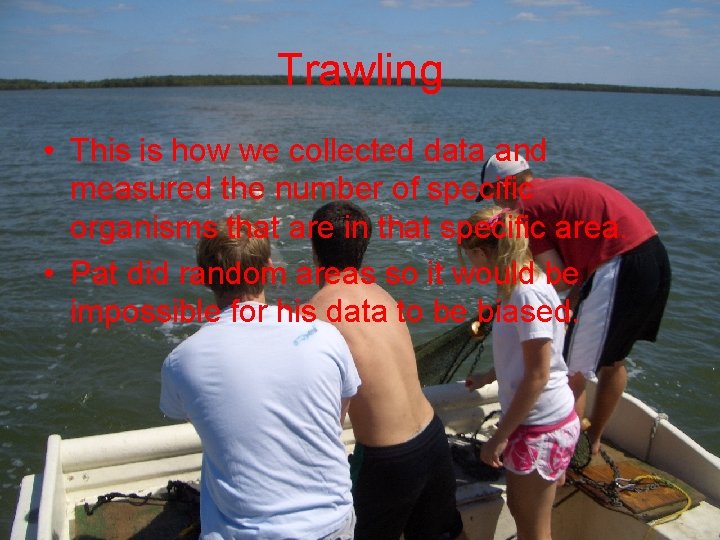 Trawling • This is how we collected data and measured the number of specific