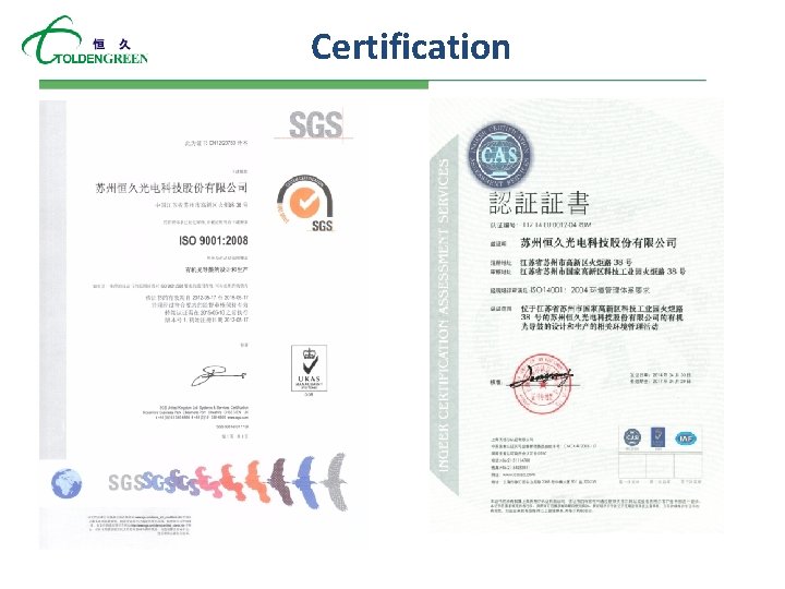 Certification Certification