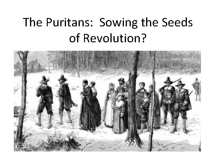 The Puritans: Sowing the Seeds of Revolution? 