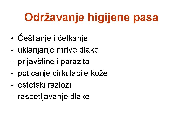 Održavanje higijene pasa • - Češljanje i četkanje: uklanjanje mrtve dlake prljavštine i parazita