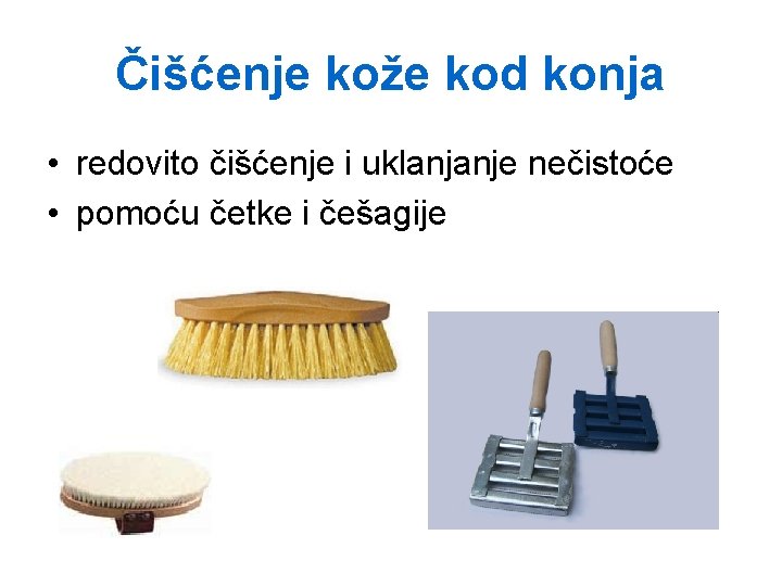 Čišćenje kože kod konja • redovito čišćenje i uklanjanje nečistoće • pomoću četke i