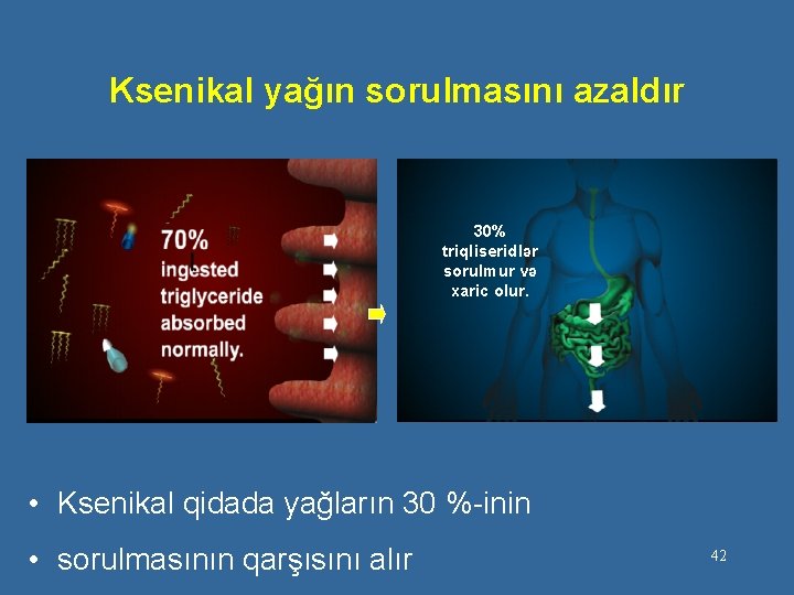Ksenikal yağın sorulmasını azaldır 30% triqliseridlər sorulmur və xaric olur. • Ksenikal qidada yağların