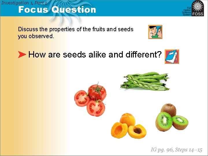 Investigation 1, Part 1 Focus Question Discuss the properties of the fruits and seeds